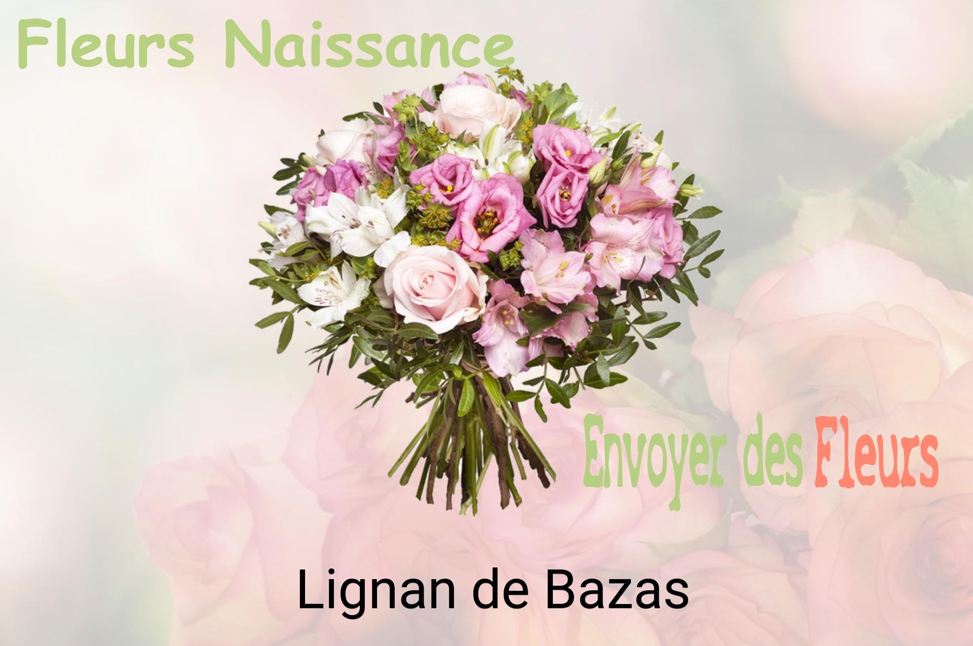 Bouquet de fleurs de naissance livré à Lignan-de-Bazas